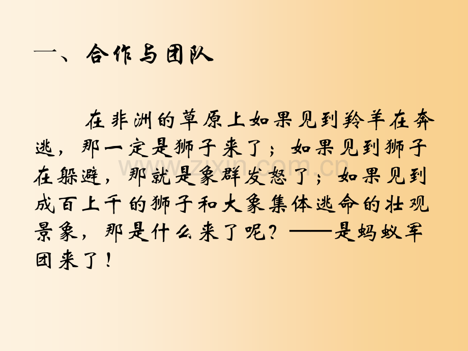 团队建设与执行力标准版.ppt_第2页