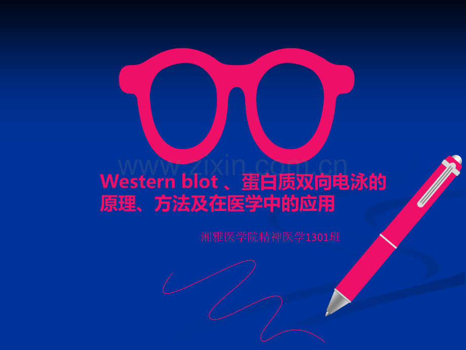 Western-blot-、蛋白质双向电泳的原理、方法及在医学中的应用-(最终版).ppt_第1页