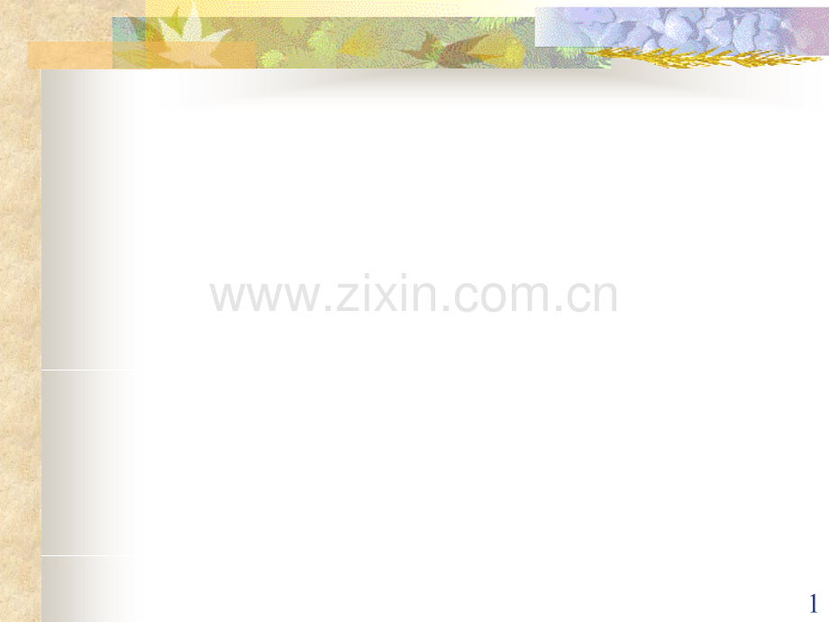 第二章社会组织PPT课件.ppt_第1页