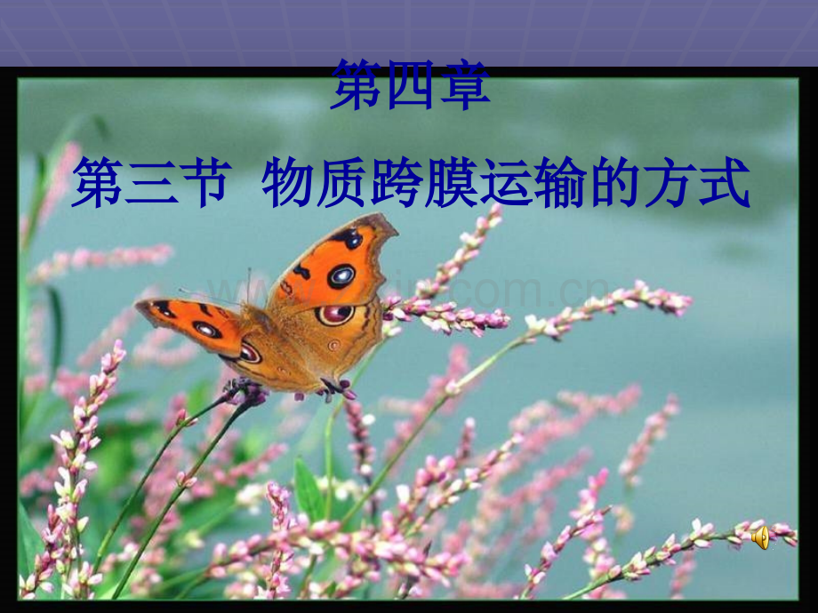 物质跨膜的运输方式.ppt_第1页