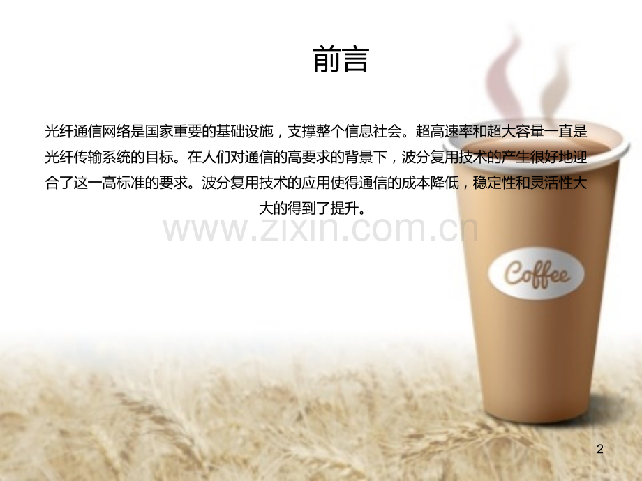 Nyquist-WDM-技术的发展综述PPT课件.ppt_第2页