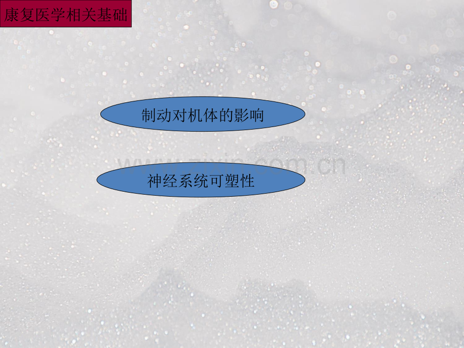 制动对机体康复的影响.ppt_第2页