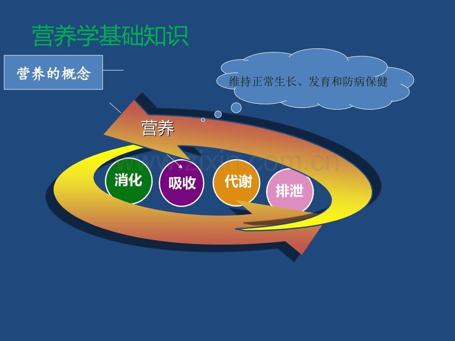 肿瘤患者营养宣教ppt课件.ppt_第2页