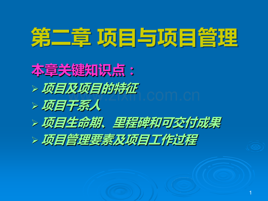 第二章-项目与项目管理(研)PPT课件.ppt_第1页