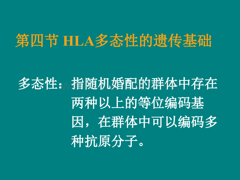 HlA多态性的遗传基础ppt课件.ppt_第1页