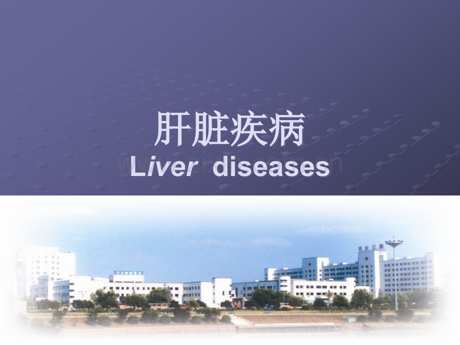 肝脏疾病ppt课件.ppt_第1页