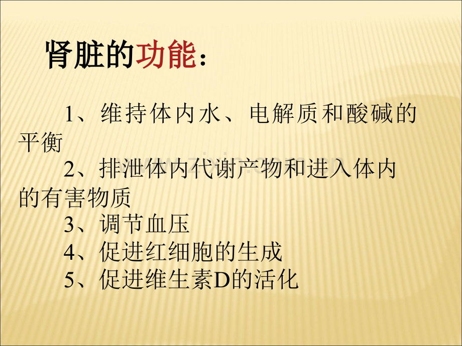 腹膜透析的护理.ppt_第2页
