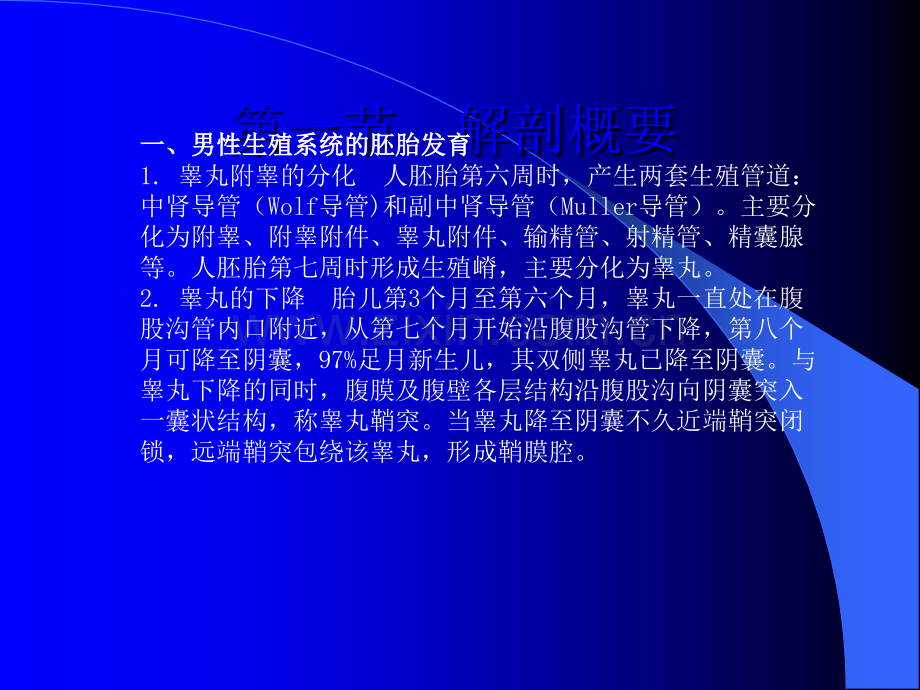 第二十四章-阴囊疾病ppt课件.ppt_第2页