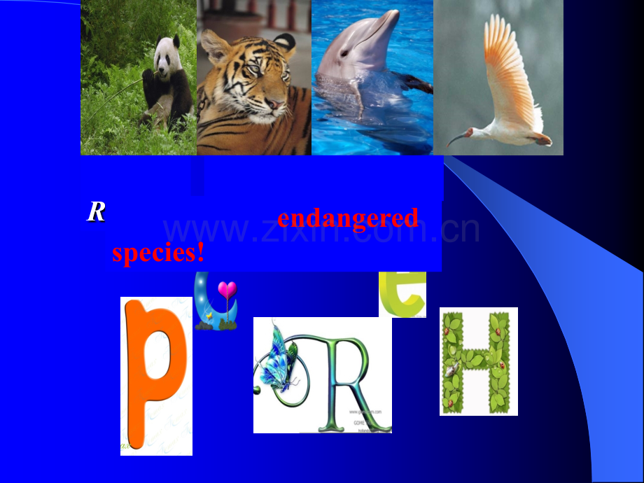 Saving-the-antelopes公开课课件.ppt_第2页