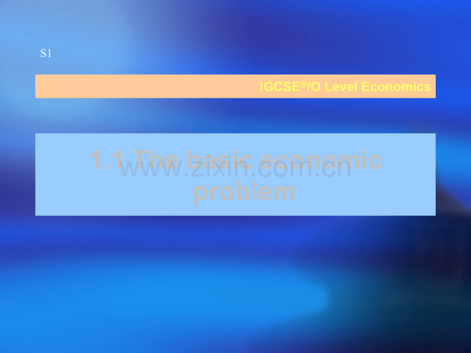 IGCSE经济学课件(英文版).ppt_第1页