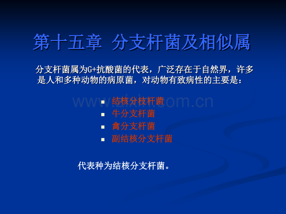 分支杆菌.ppt_第1页