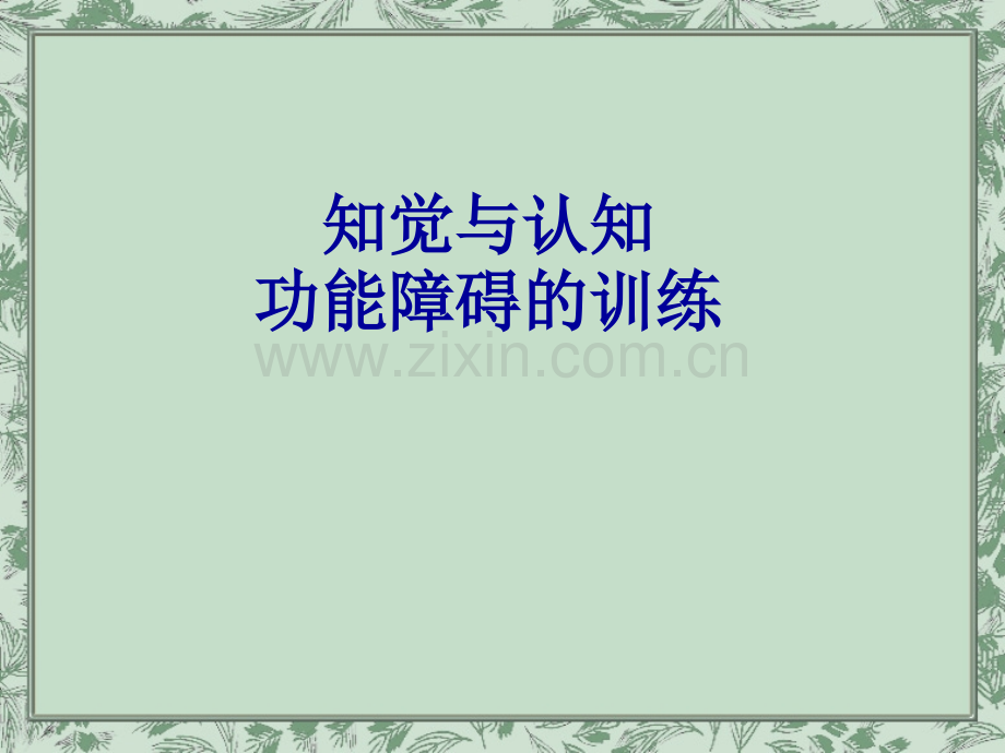 知觉与认知功能的训练.ppt_第1页