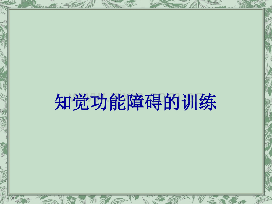 知觉与认知功能的训练.ppt_第2页