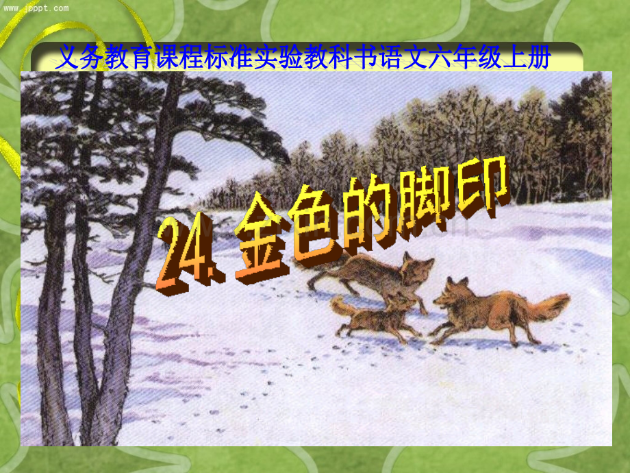 《金色的脚印》课件.ppt_第1页