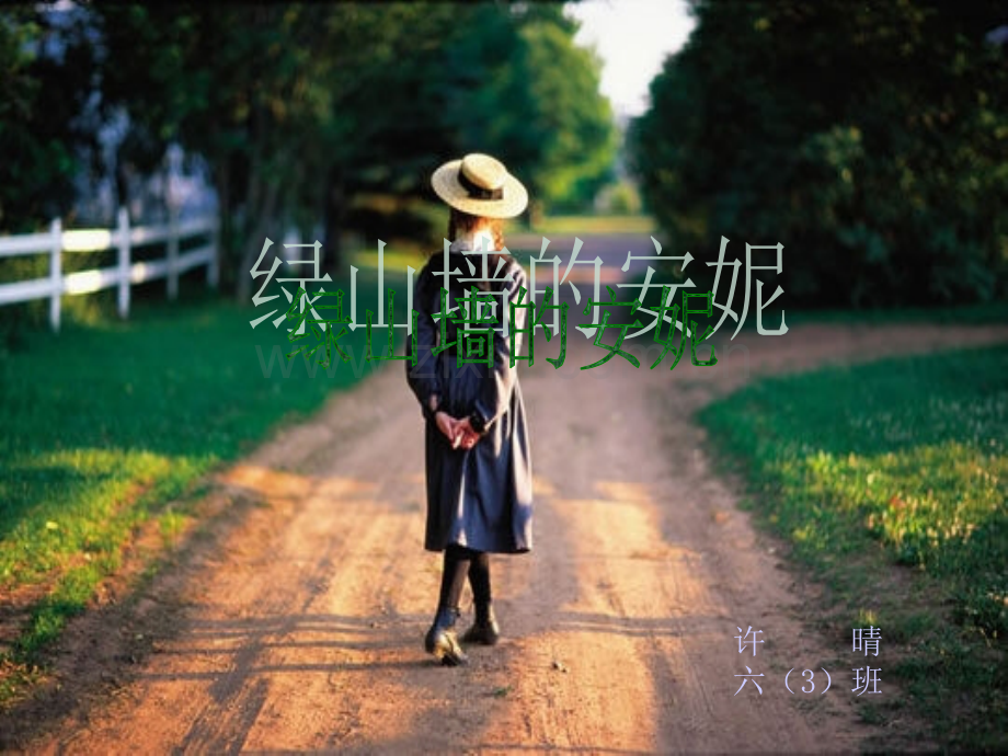 《绿山墙的安妮》阅读ppt.ppt_第1页