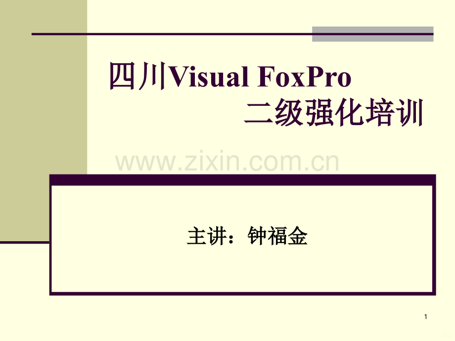 VFP二级强化培训-PPT课件.ppt_第1页