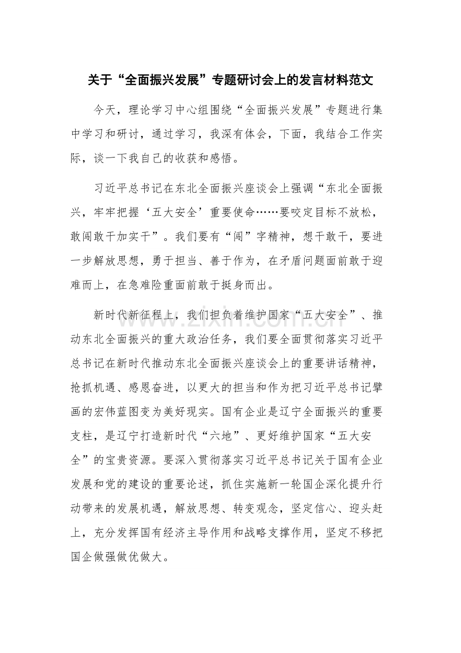 关于“全面振兴发展”专题研讨会上的发言材料范文.docx_第1页