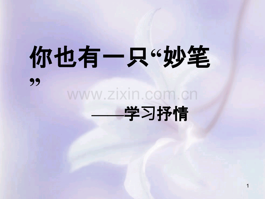 学习抒情-PPT课件.ppt_第1页