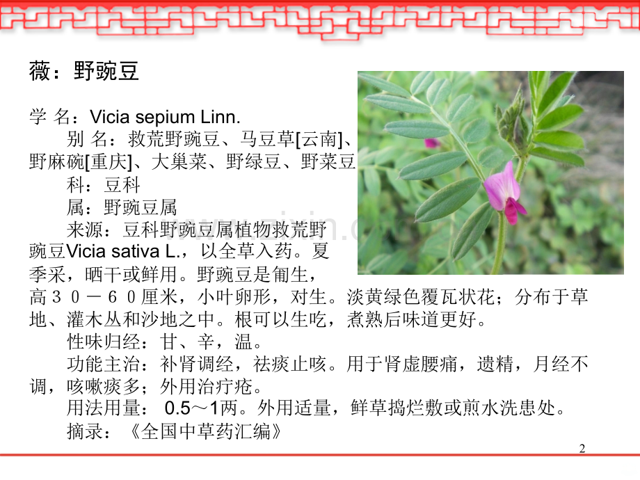 采薇PPT课件.ppt_第2页