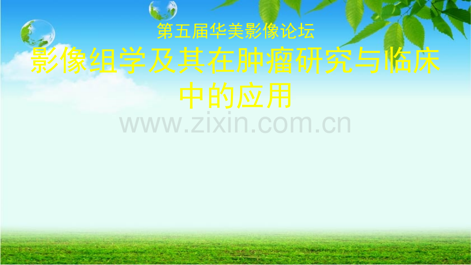 影像组学及其在肿瘤研究与临床中的应用.pptx_第1页