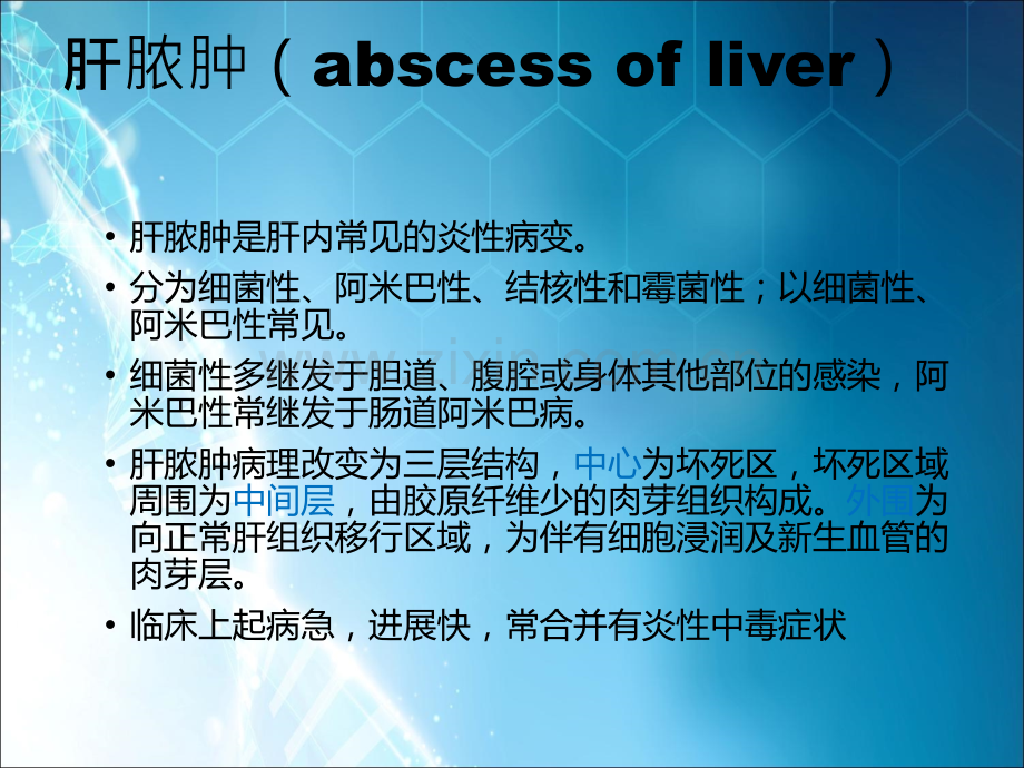 CT肝脓肿及其它病变-(2)ppt课件.ppt_第2页