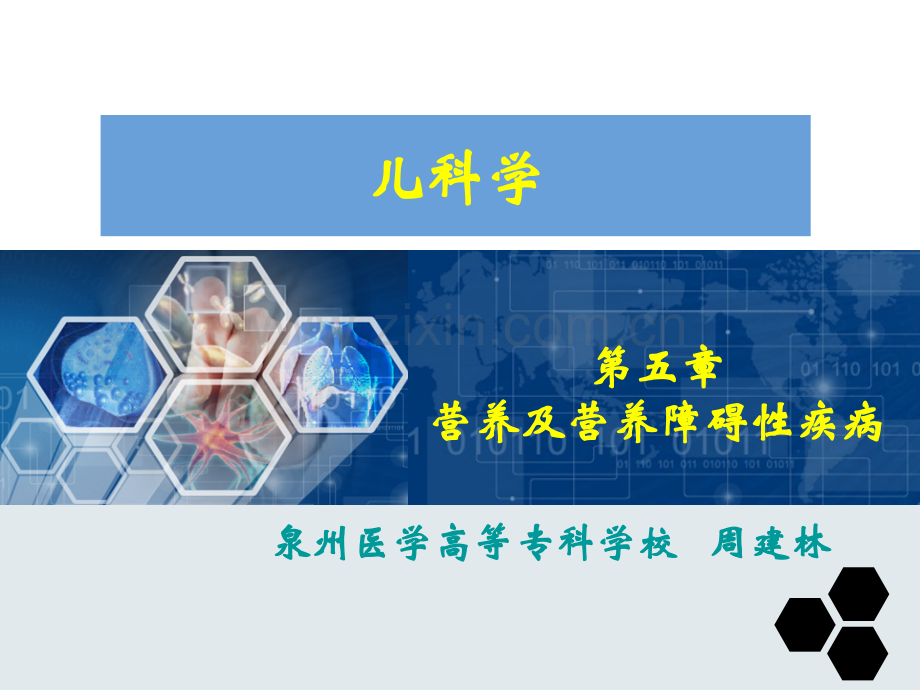 营养及营养障碍性疾病ppt课件.ppt_第2页
