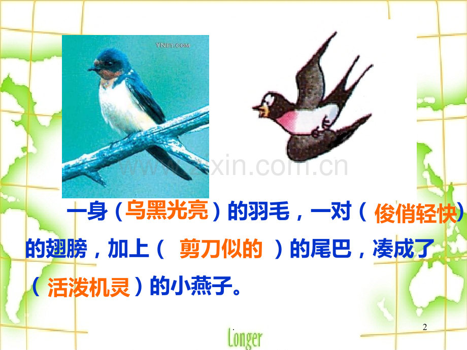 《燕子》教学PPT课件.ppt_第2页