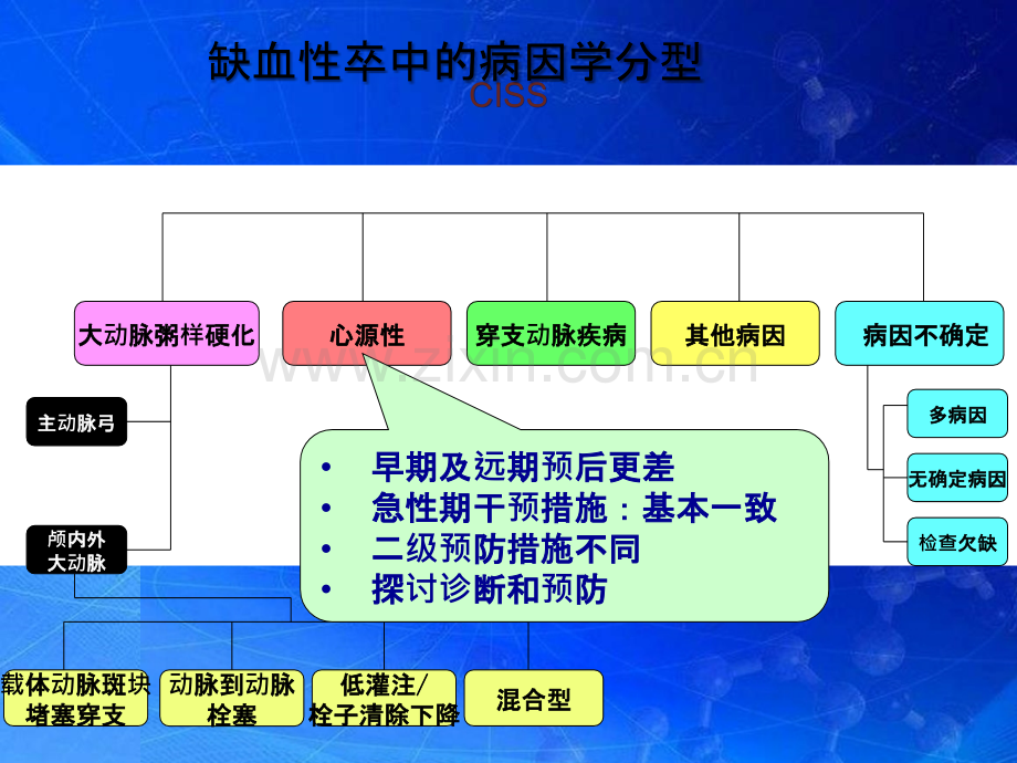 心源性卒中的诊断及预防.pptx_第2页