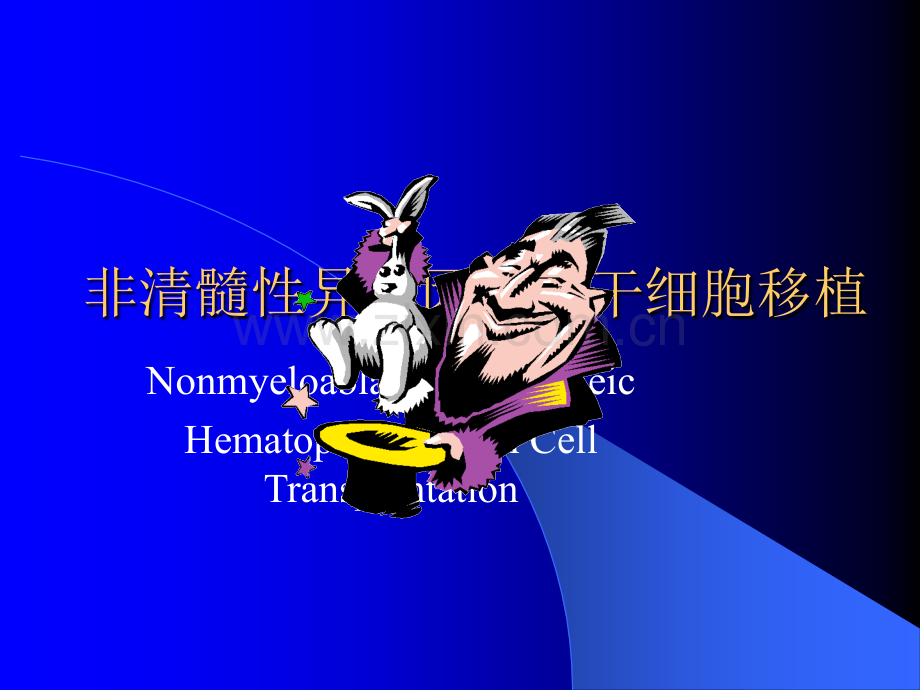 非清髓性异基因造血干细胞移植ppt课件.ppt_第1页