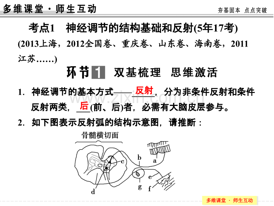 必修三一单元讲通过神经系统的调节PPT课件.ppt_第1页