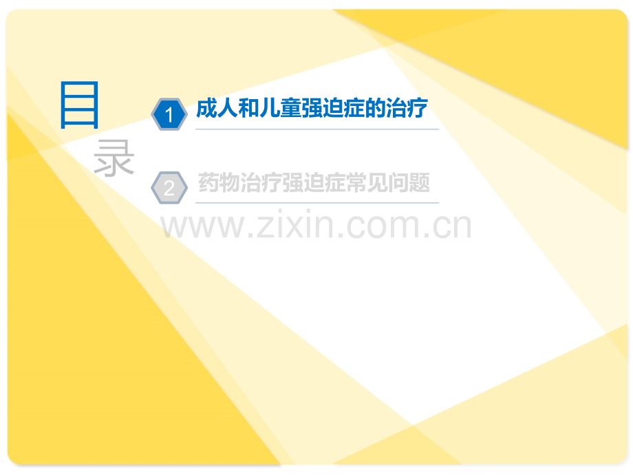强迫症的药物治疗ppt课件.pptx_第2页