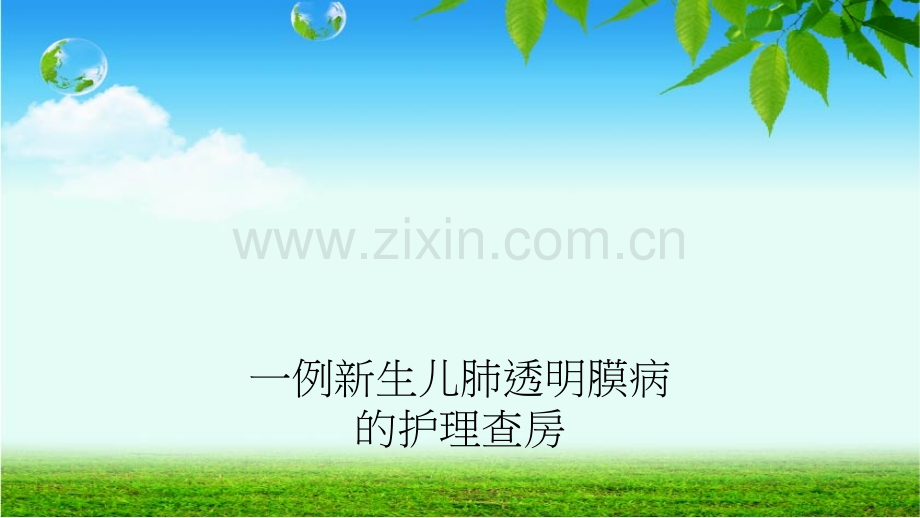 新生儿肺透护理查房.ppt_第1页