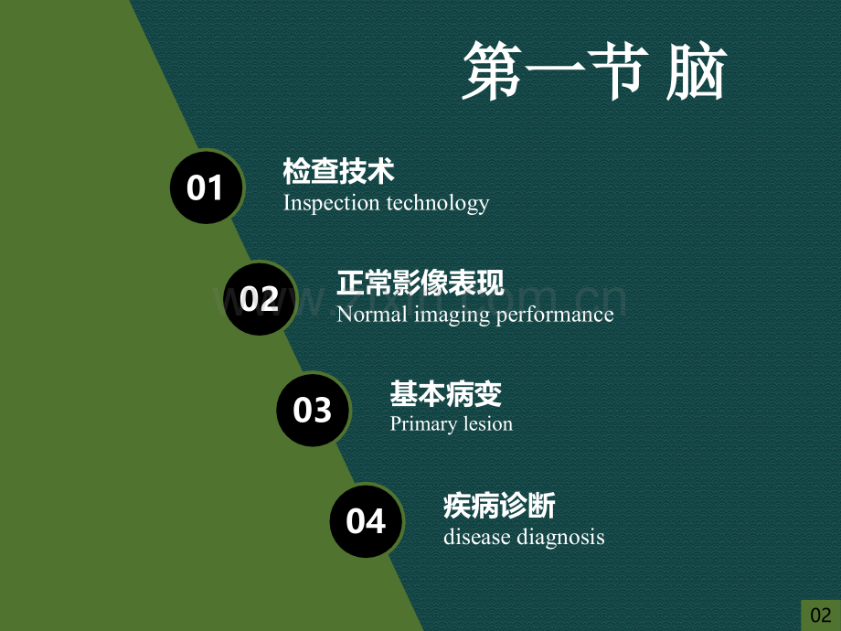 中枢神经系统脑ppt课件.pptx_第2页