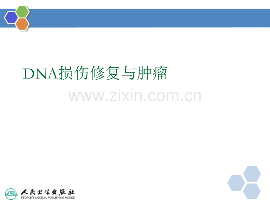 DNA损伤修复与肿瘤ppt课件.pptx_第1页