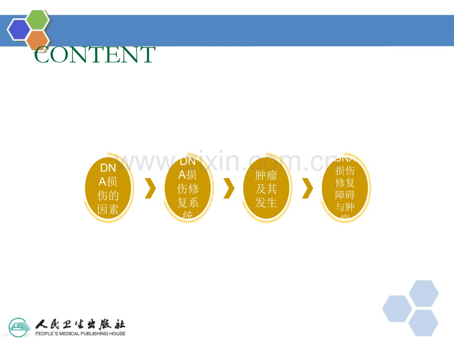 DNA损伤修复与肿瘤ppt课件.pptx_第2页
