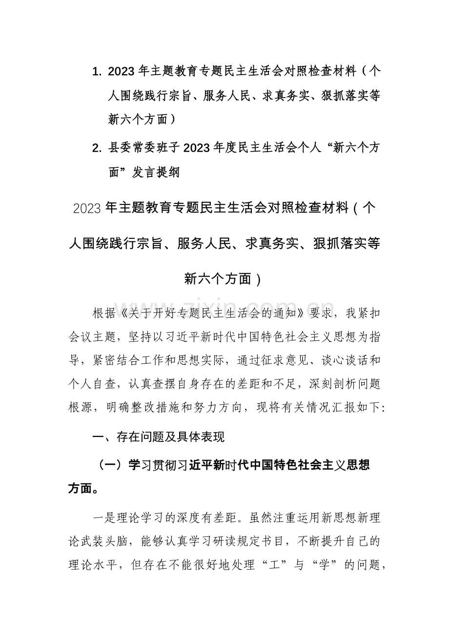 两篇：2023年主题教育专题对照检查材料（个人围绕践行宗旨、服务人民、求真务实、狠抓落实等新六个方面）范文.docx_第1页