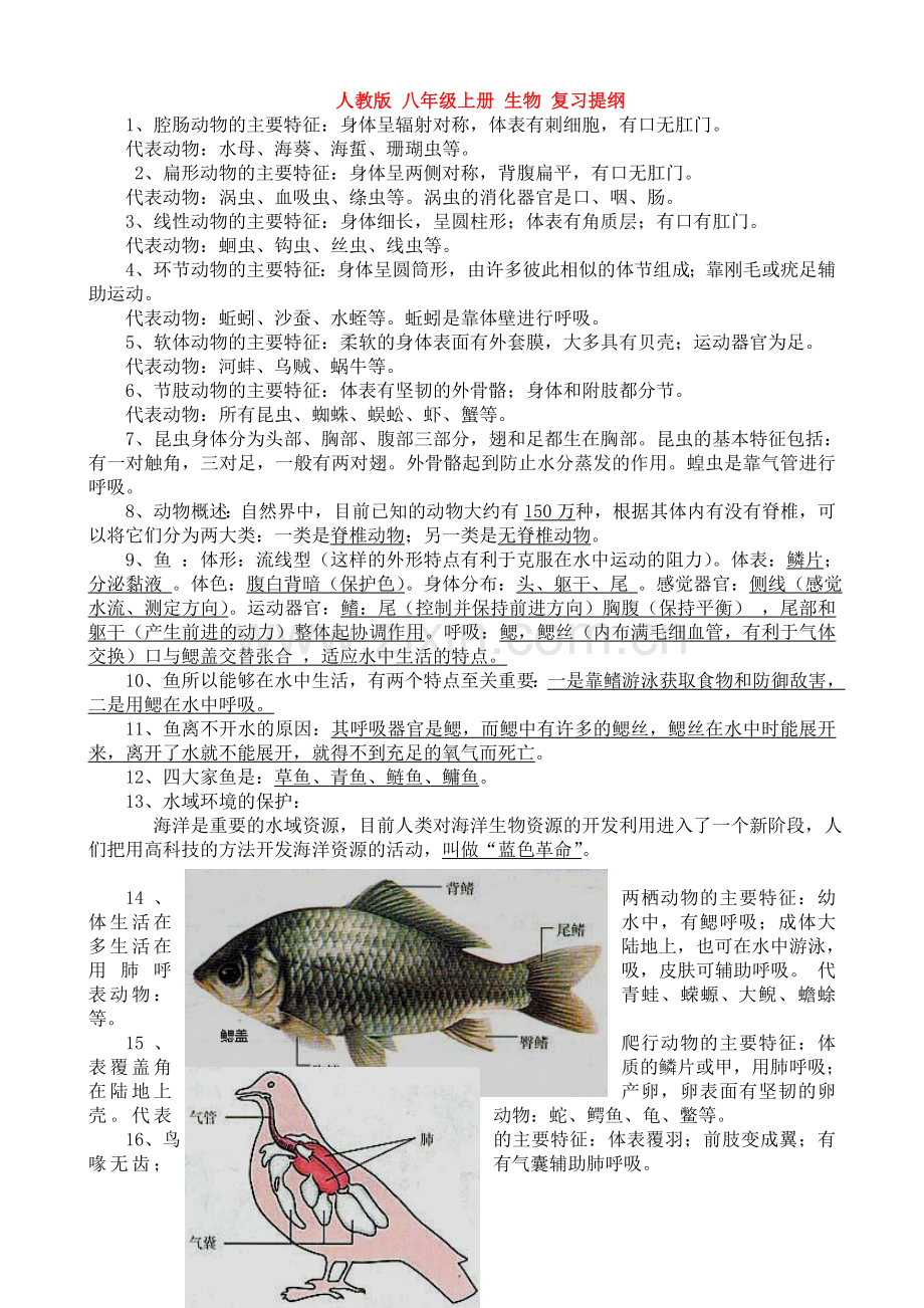 人教版-八年级上册-生物-复习提纲.doc_第1页