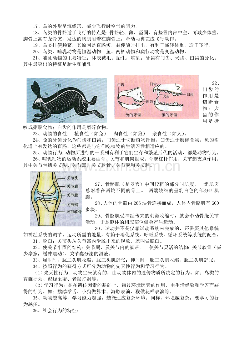 人教版-八年级上册-生物-复习提纲.doc_第2页
