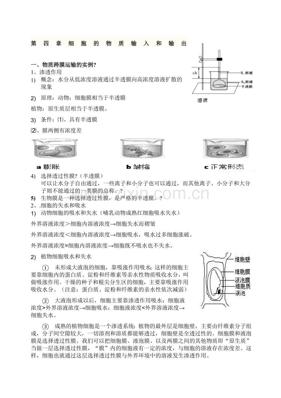 必修细胞的物质输入和输出知识点详解.docx_第1页