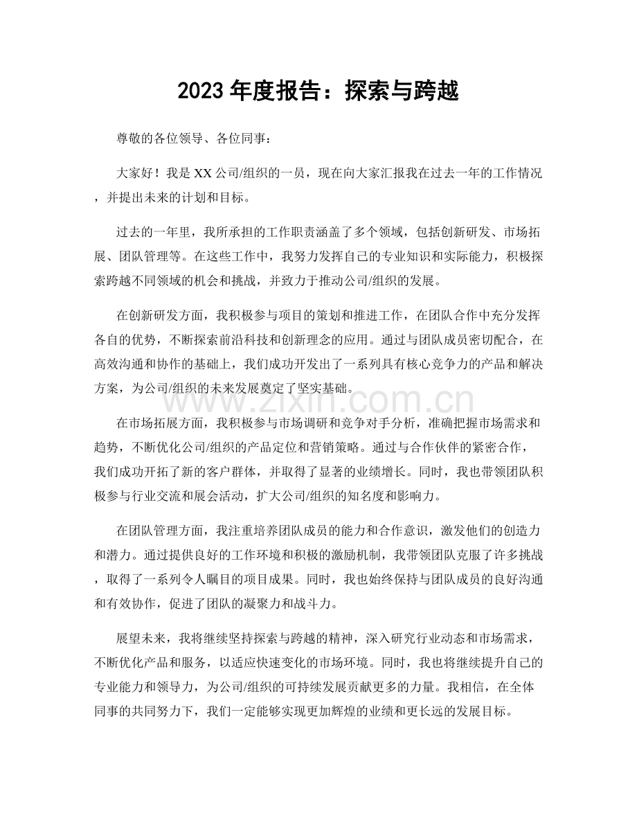 2023年度报告：探索与跨越.docx_第1页