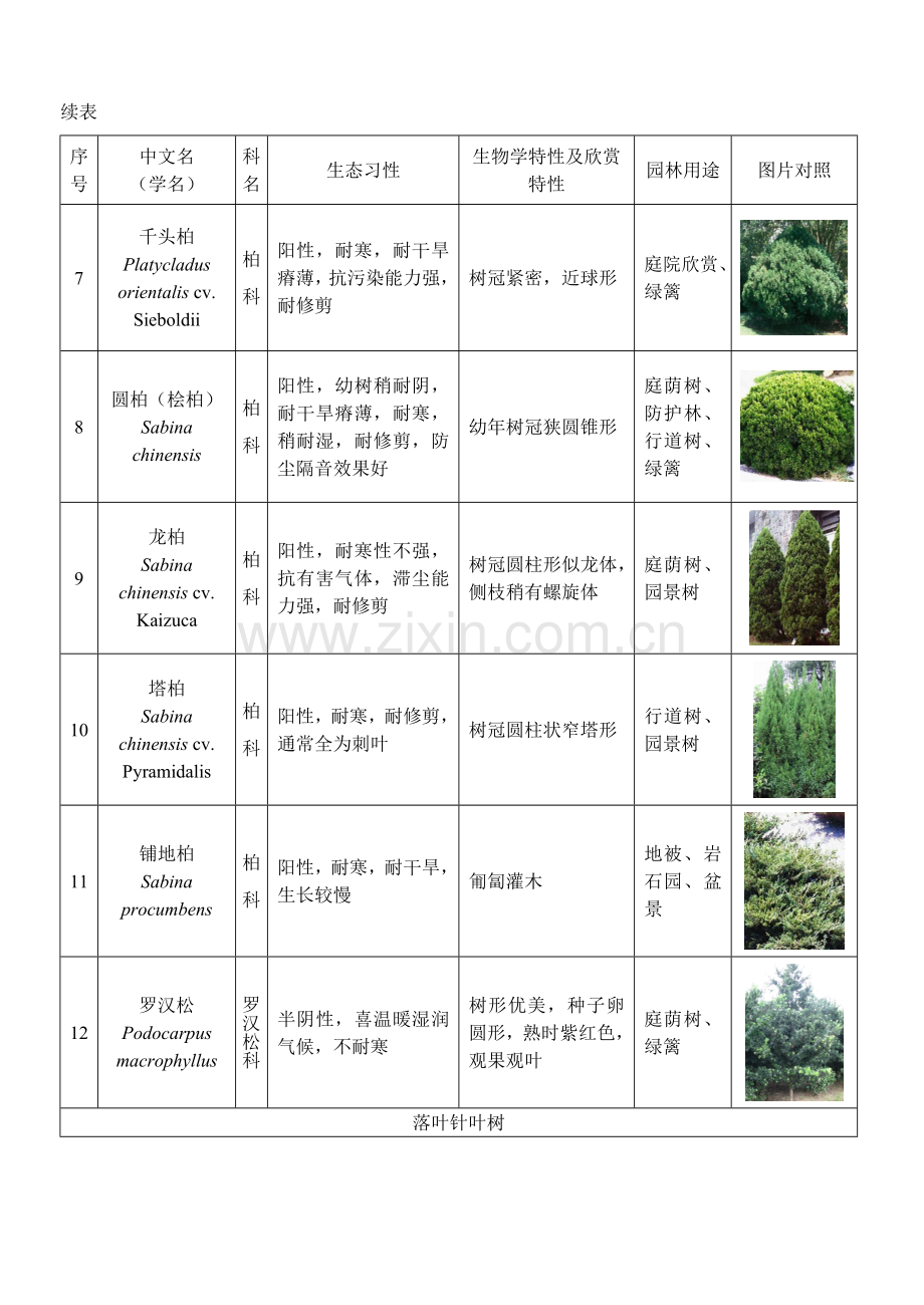 植物表图对照.doc_第2页