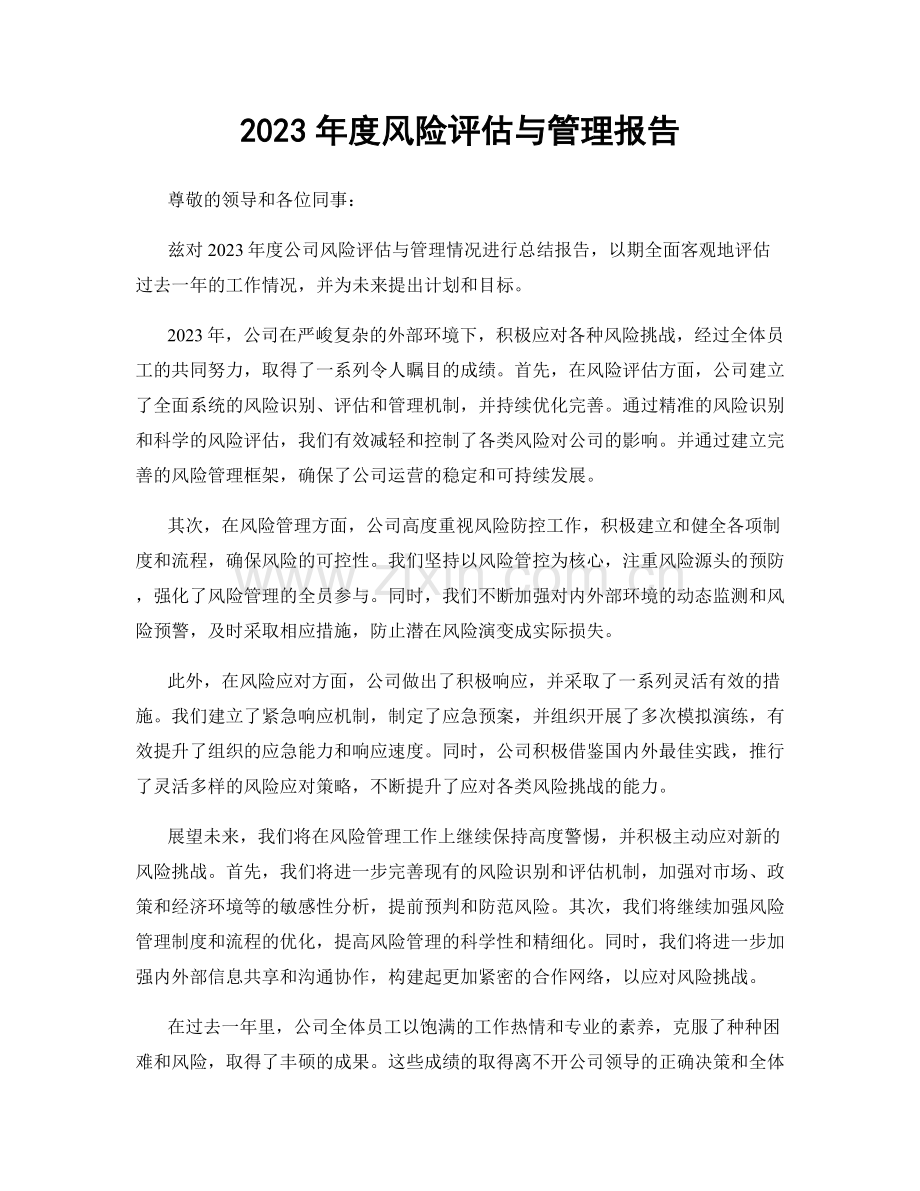 2023年度风险评估与管理报告.docx_第1页