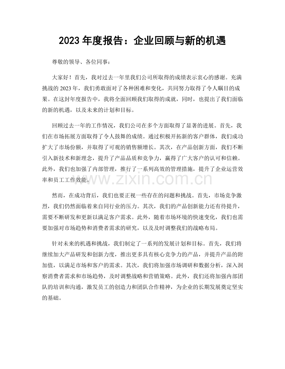 2023年度报告：企业回顾与新的机遇.docx_第1页