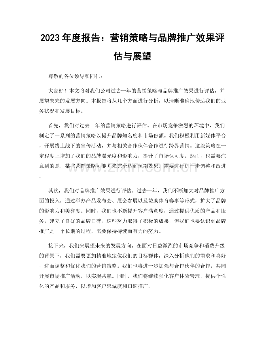 2023年度报告：营销策略与品牌推广效果评估与展望.docx_第1页