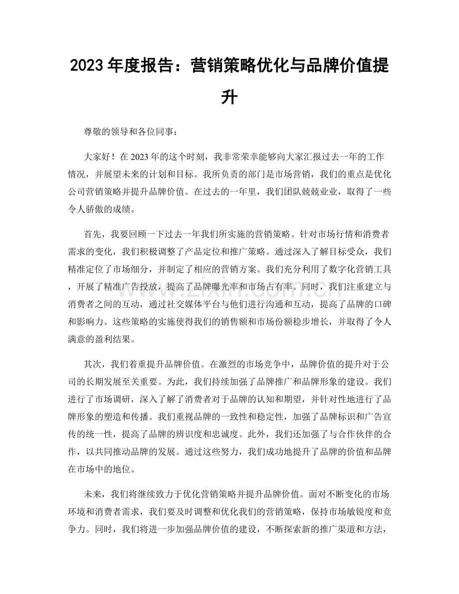 2023年度报告：营销策略优化与品牌价值提升.docx_第1页