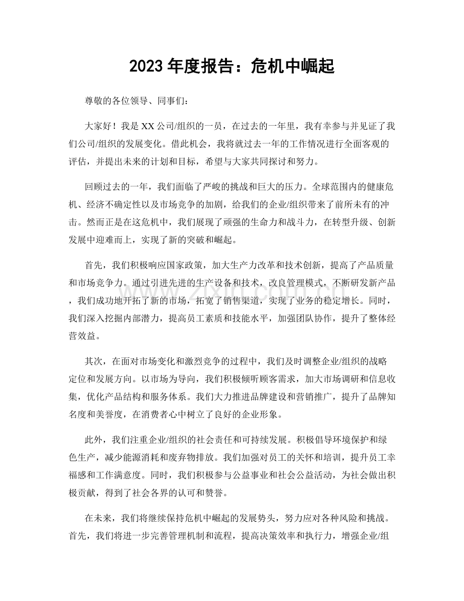 2023年度报告：危机中崛起.docx_第1页