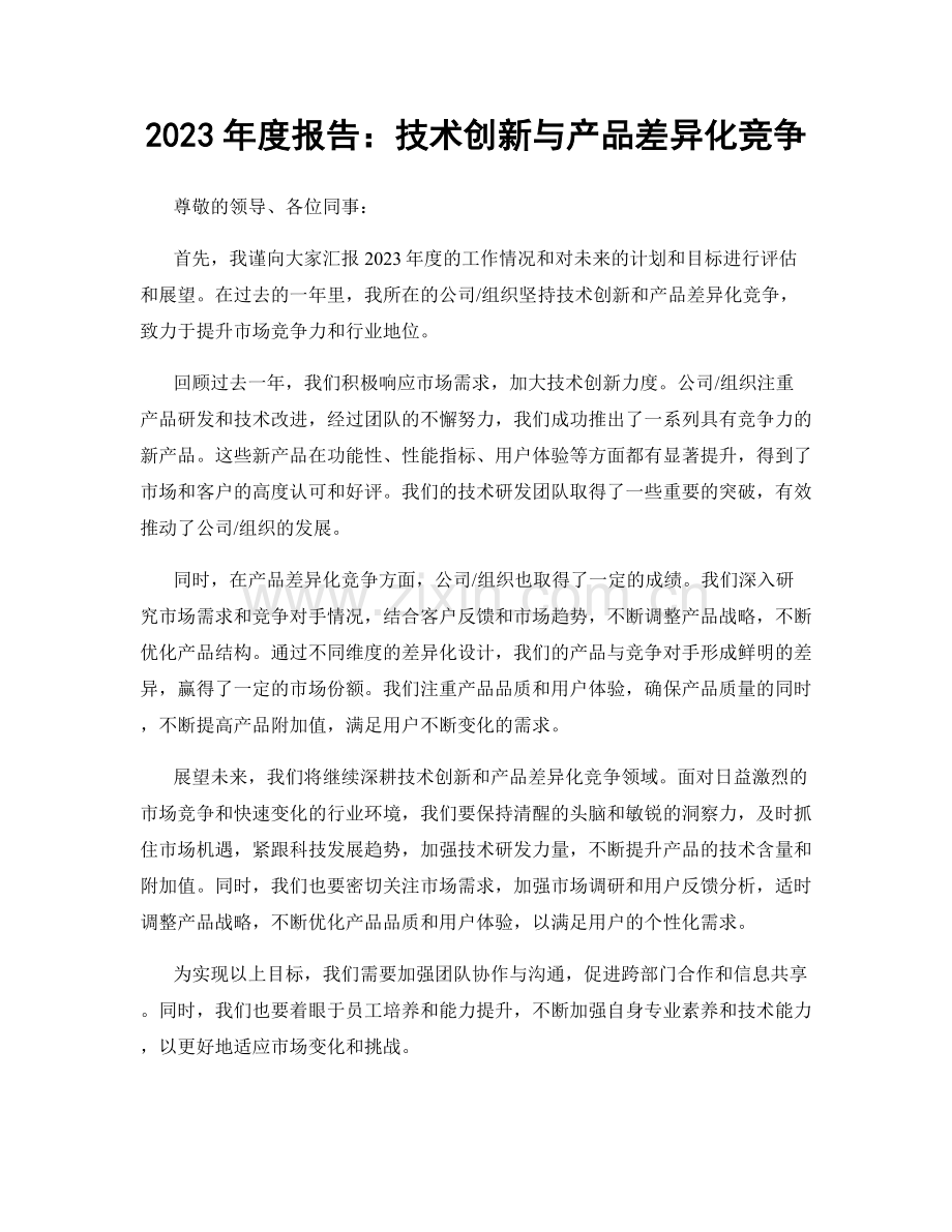 2023年度报告：技术创新与产品差异化竞争.docx_第1页
