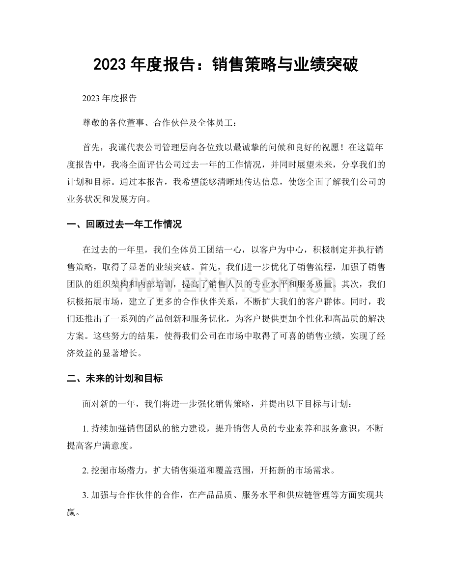 2023年度报告：销售策略与业绩突破.docx_第1页