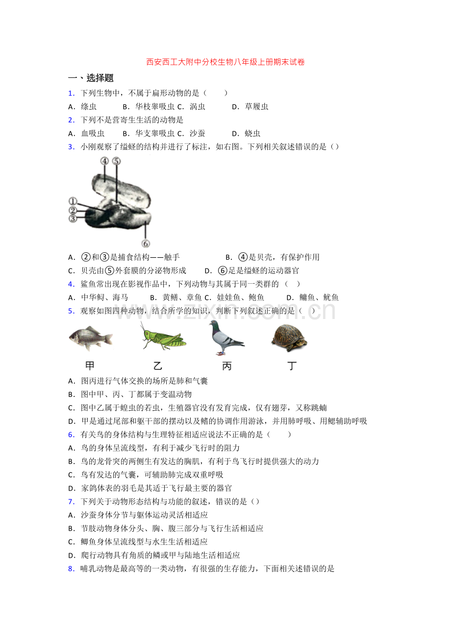 西安西工大附中分校生物八年级上册期末试卷.doc_第1页
