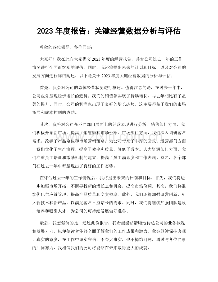 2023年度报告：关键经营数据分析与评估.docx_第1页